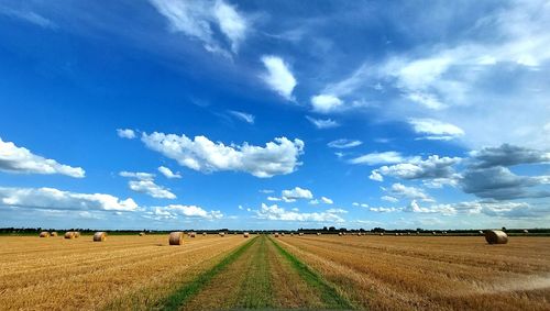 Scenic view of agricultural field against sky