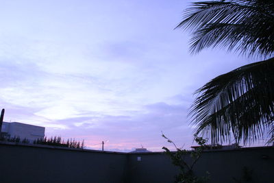 Low angle view of trees against sky