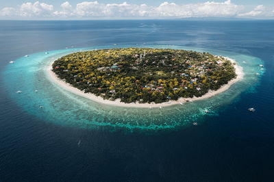 Aerial view of balicasag island 