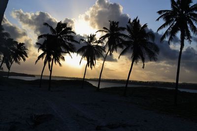 Silhouette palm trees on beach against sky at sunset