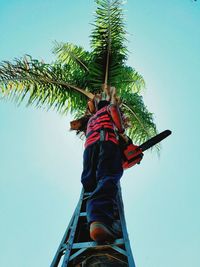 Low angle view of man with electric saw climbing on ladder over tree