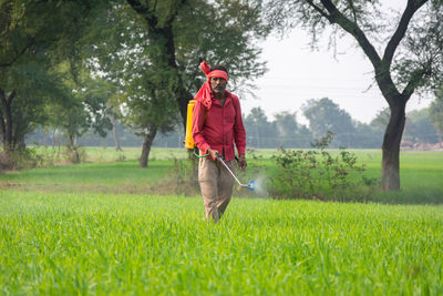 Indian farmer spraying fertilizer in his wheat field. agriculture worker.