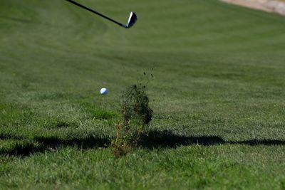 Golf club and ball at lawn