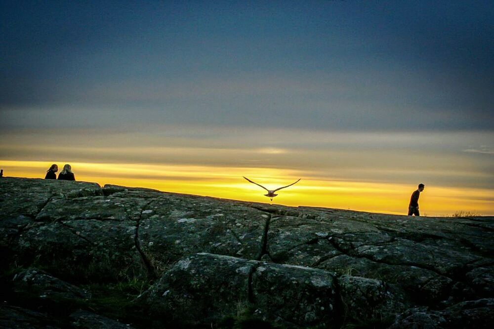 SCENIC VIEW OF SUNSET