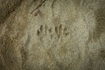 Full frame shot of sand