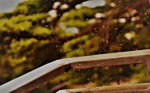 Close-up of water drops on rainy day