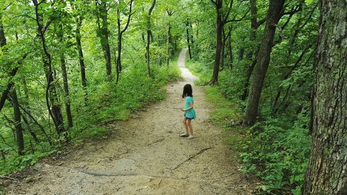 People walking on footpath in forest