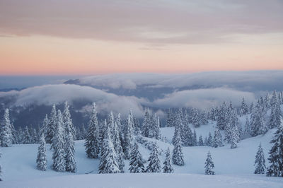 Scenic view of snow covered landscape against sky during sunset