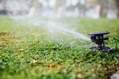 Automatic sprinkler system watering grass, garden irrigation system watering lawn