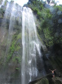 Low angle view of waterfall against trees