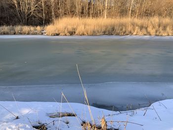 Scenic view of frozen lake and trees