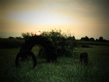 Scenic view of rural landscape