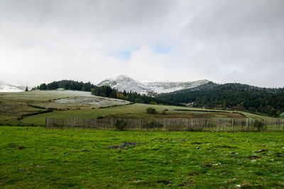 Scenic view of field against sky