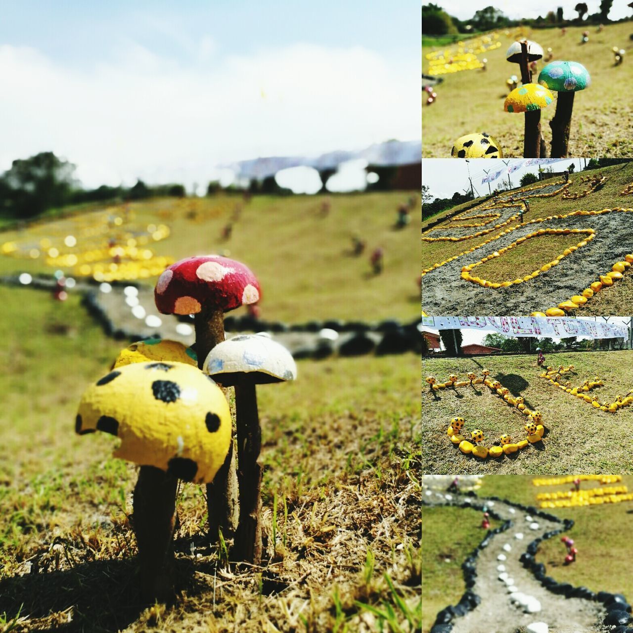 CLOSE-UP OF TOY ON GRASS