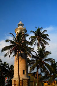 Low angle view of coconut palm tree against sky