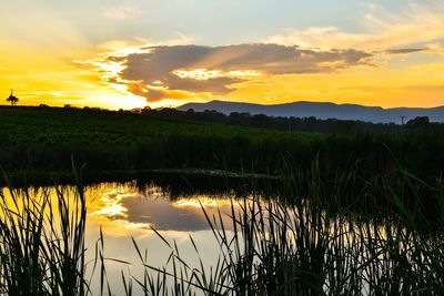 Scenic view of lake at sunset