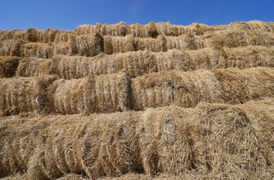 Hay bales on field against sky