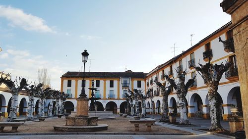 Buildings in town