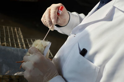 Close-up of hand holding white flowers