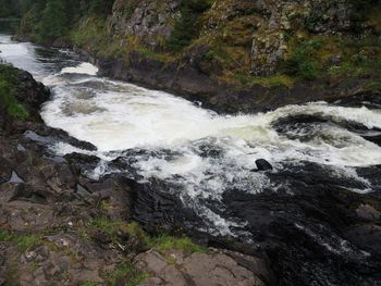 Scenic view of waterfall in forest