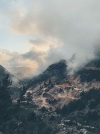 beauty in nature