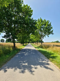 Beautiful view on countryside roads with fields and trees in northern europe.