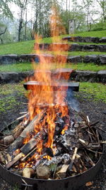 Close-up of bonfire on grass