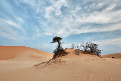 Scenic view of desert against sky