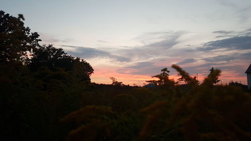 Silhouette trees on field against sky during sunset