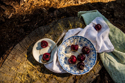Still life of ripe red cherries in blue and white bowl with silver spoon on outdoor tree stump