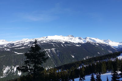 Scenic view of snowcapped mountains against blue sky