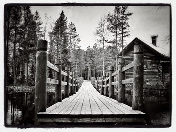 Footbridge along trees