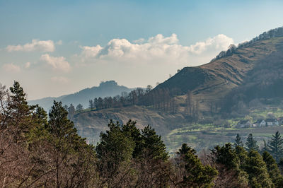 Panoramic view of trees and mountains against sky