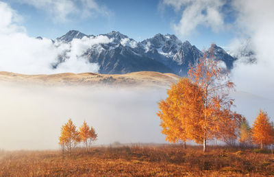 Scenic view of landscape against sky during autumn