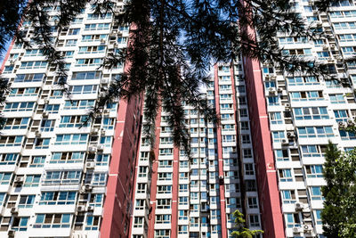 Low angle view of buildings