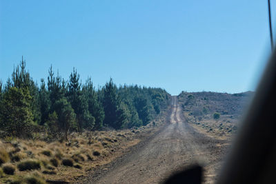 Panoramic view of road amidst trees against clear blue sky