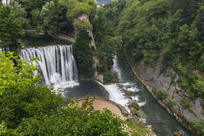 Scenic view of waterfall in forest