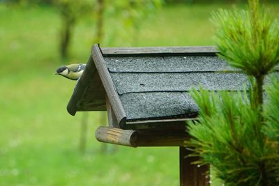 Close-up of birdhouse on tree