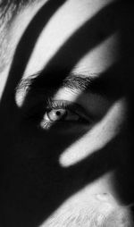 Close-up portrait of woman with shadow