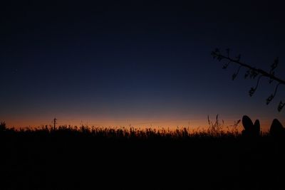 Silhouette trees against sky at night