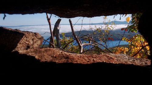 Rock formations in cave