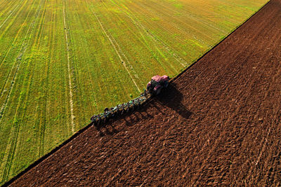 Tire tracks on agricultural field