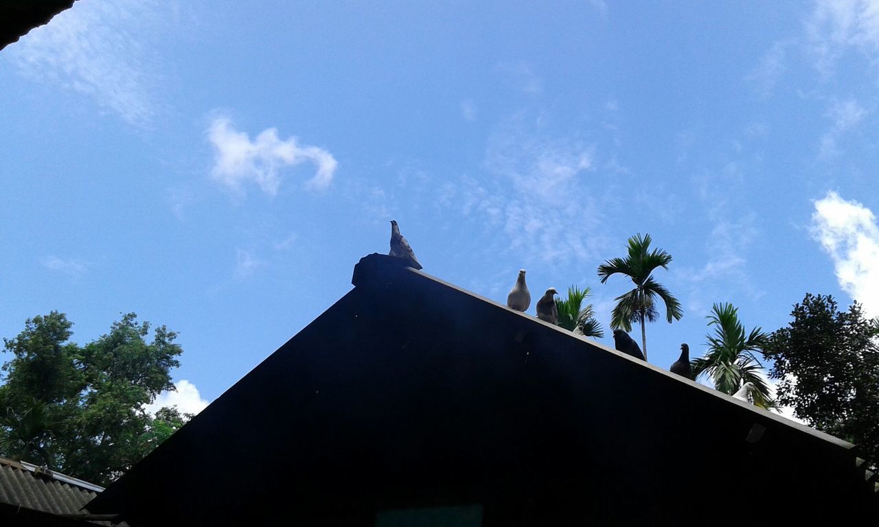 architecture, building exterior, low angle view, built structure, place of worship, religion, sky, church, tree, spirituality, blue, high section, cloud - sky, cross, cloud, steeple, outdoors, no people