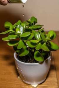 High angle view of drink on table