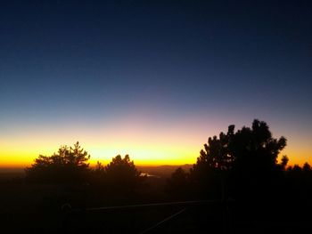 Silhouette of trees at sunset