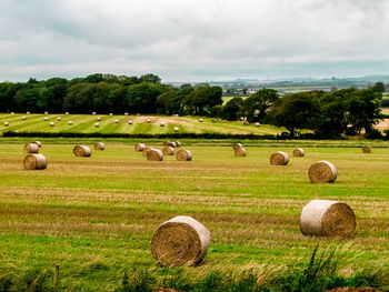 Hay bales on field against sky