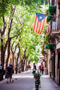 People walking on street amidst trees in city