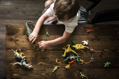 Boy playing with toy dinosaurs at table