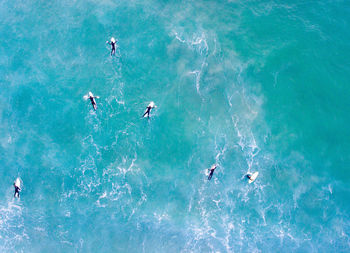 Flock of birds in sea against sky