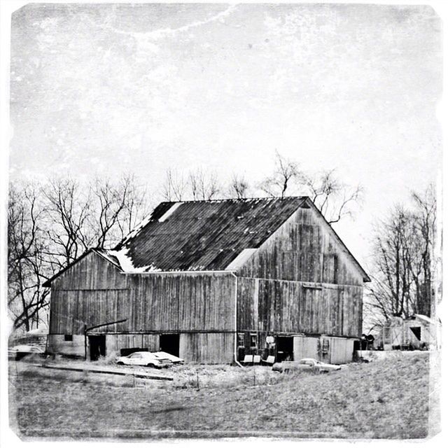 abandoned, obsolete, built structure, building exterior, architecture, damaged, house, run-down, deterioration, old, transfer print, weathered, auto post production filter, bad condition, destruction, field, bare tree, wood - material, sky, tree